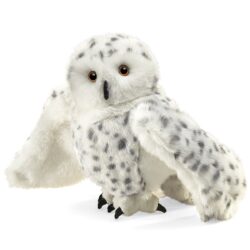 Snowy Owl