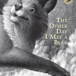 Other Day I Met A Bear, The