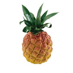 Pineapple Shaker