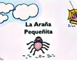 la arana pequenita