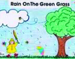 rain on the green grass