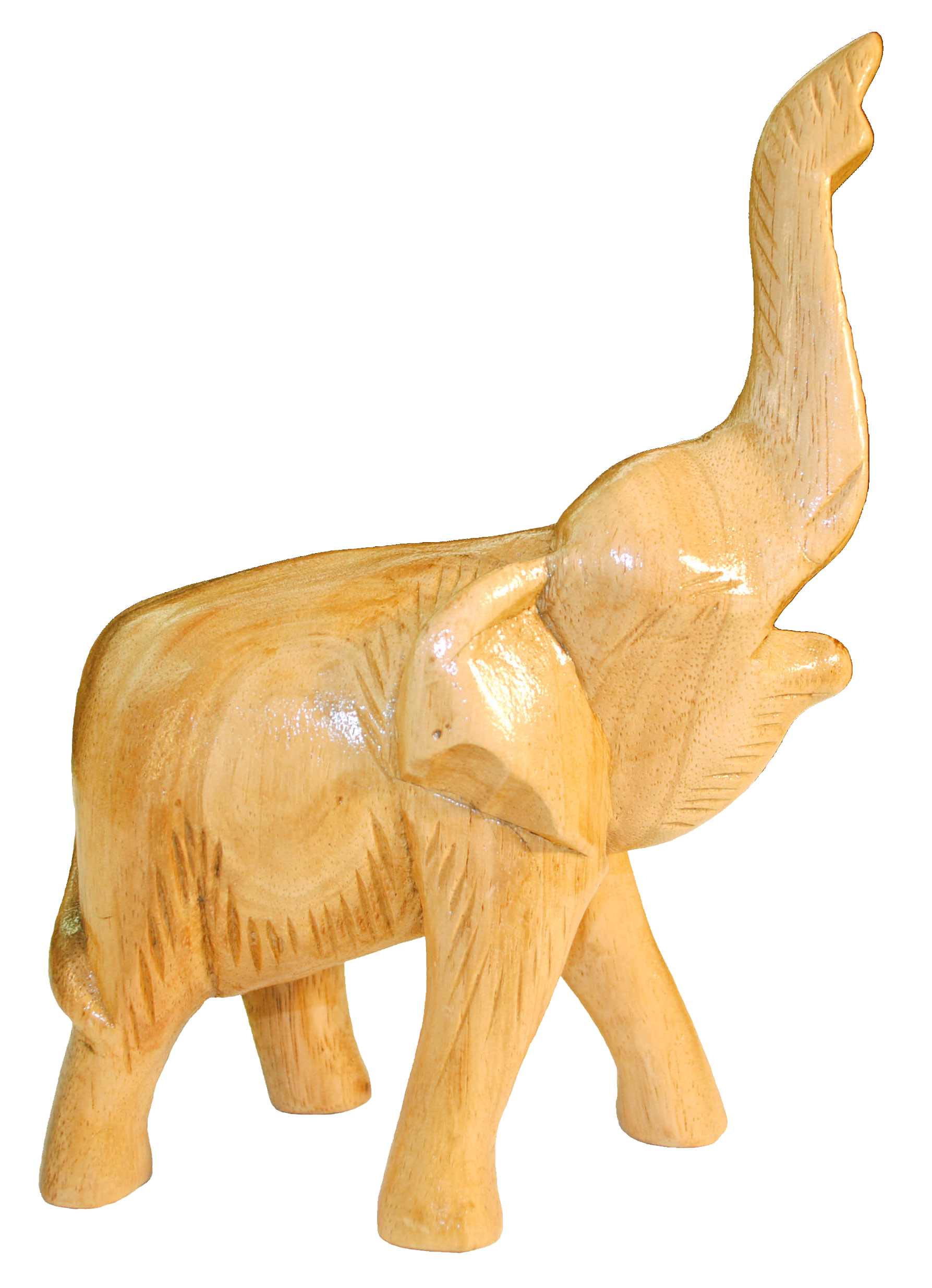 EL6 Elephant NO BKGD