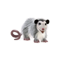 Opossum