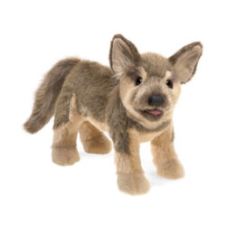 German Shepherd Puppy