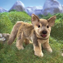 German Shepherd Puppy