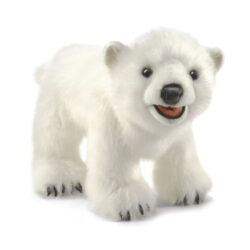 Polar Bear Cub