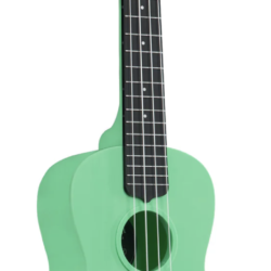 Kala Waterman Sea Foam Green Concert 'Ukulele