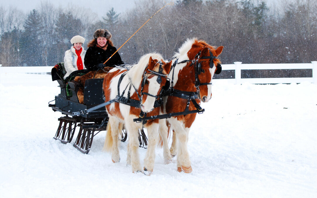 Troika! A Fun Winter Folk Dance